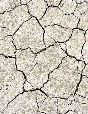 THE DEAD/Мертвые