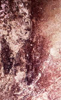 The Festival/Праздник