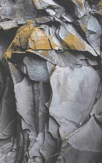 ONE THOUSAND DOLLARS / Тысяча долларов