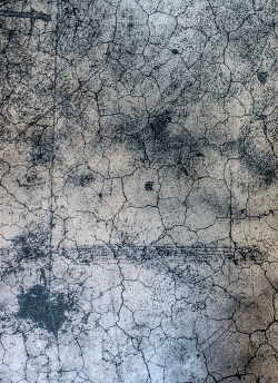 The Disease of Parliaments / Болезнь парламентов