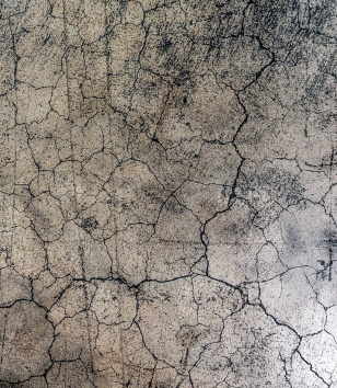 THE SOCIAL TRIANGLE / Социальный треугольник